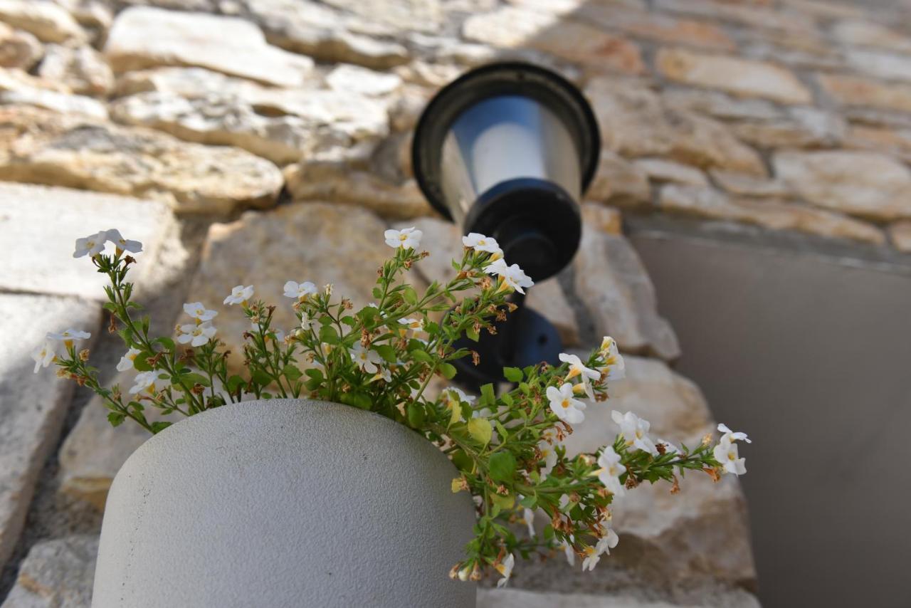 Apartment Loro With Jacuzzi Posedarje Exterior foto
